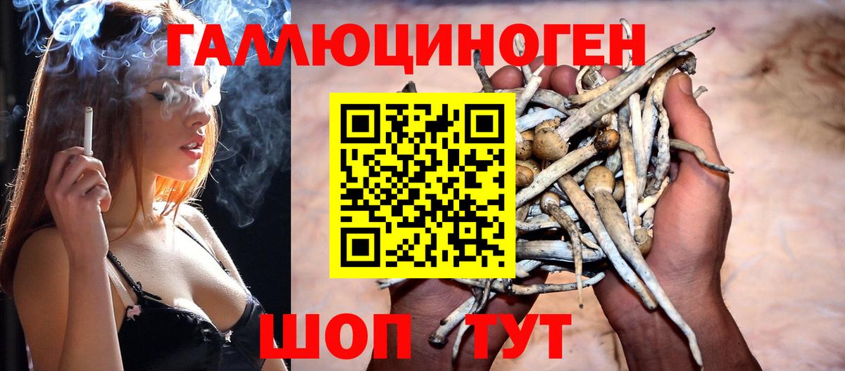 Псилоцибиновые грибы мицелий Зеленогорск