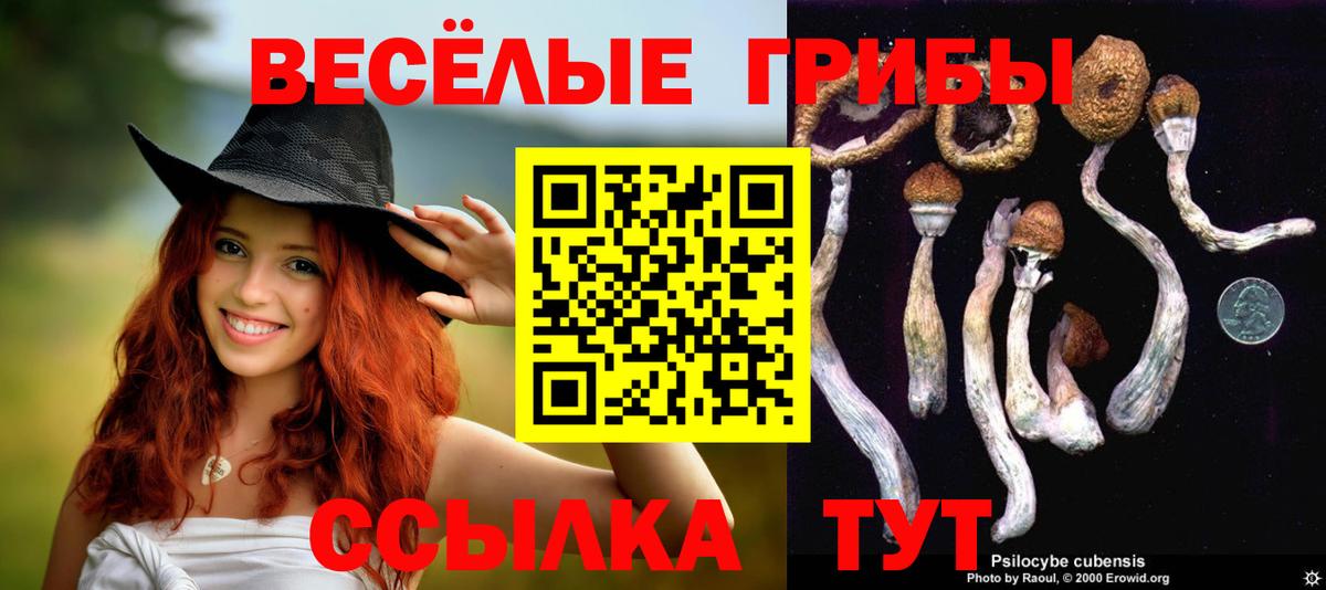 наркота  Вход с VPN  Зеленогорск  Псилоцибиновые грибы мухоморы 