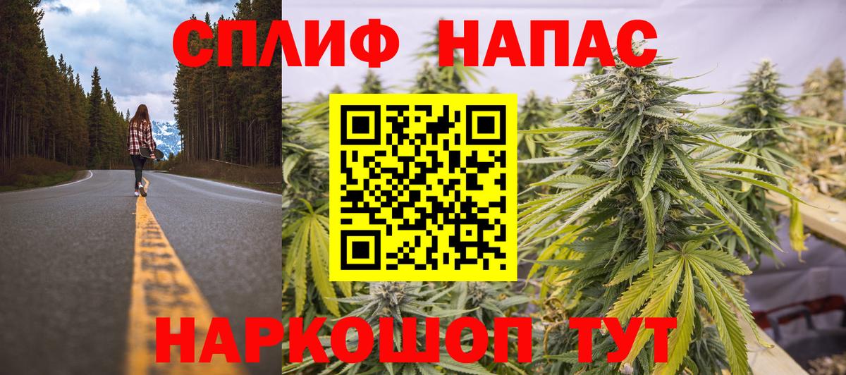Шишки марихуана конопля  Бошки марихуана план  Зеленогорск  Вход с VPN 